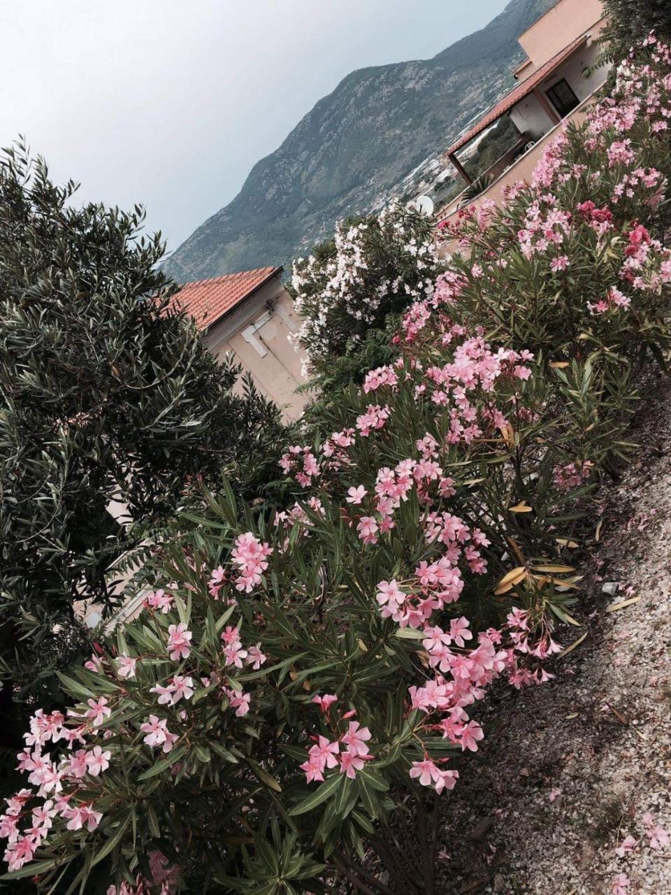 Hegelberger Hotel Terracina Exterior photo