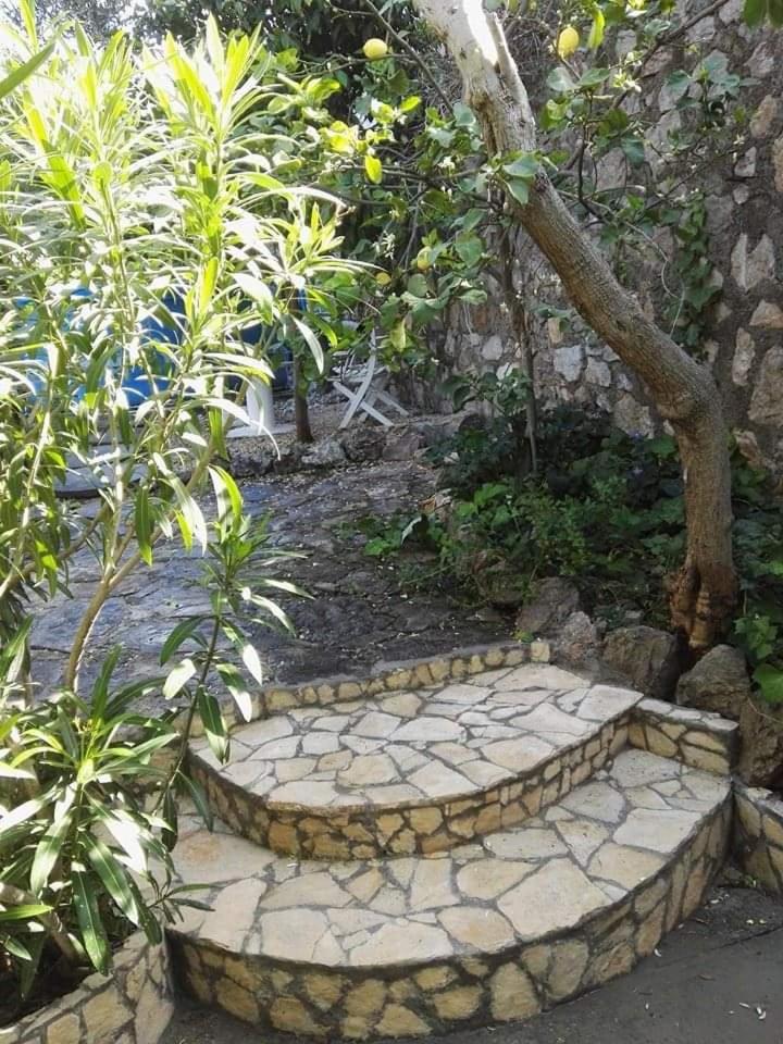 Hegelberger Hotel Terracina Exterior photo